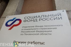 Жителям Пензенской области рассказали об электронных услугах социального фонда