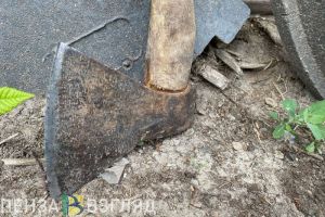 Кузнечанин угрожал зарубить знакомую девушку топором