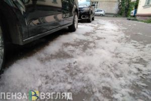 В Пензе родителей просят объяснить детям, почему опасно поджигать тополиный пух