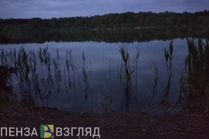 Житель Сердобского района попался на незаконной ловле рыбы