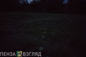 В Пензе пропал 70-летний мужчина с татуировкой на руке