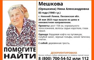 В Пензенской области ищут пропавшую дезориентированную пенсионерку