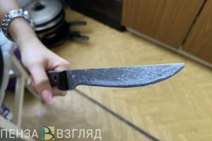 Жительница Пензы поссорилась с сожителем и нанесла ему ножевые ранения