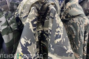 С 1 по 17 августа в Пензенской области пройдут юнармейские военно-патриотические сборы ПФО «Гвардеец»