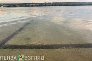 В Городищенском районе полицейский спас тонувшего инвалида