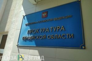 Жительница Колышлейского района пыталась избавиться от собственного ребенка
