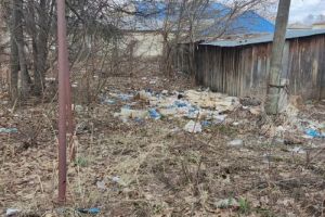 В Пензенской области прокуратура добивается ликвидации несанкционированной свалки