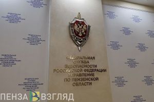 В Пензе в отношении осужденного возбудили уголовное дело из-за демонстрации нацистской символики