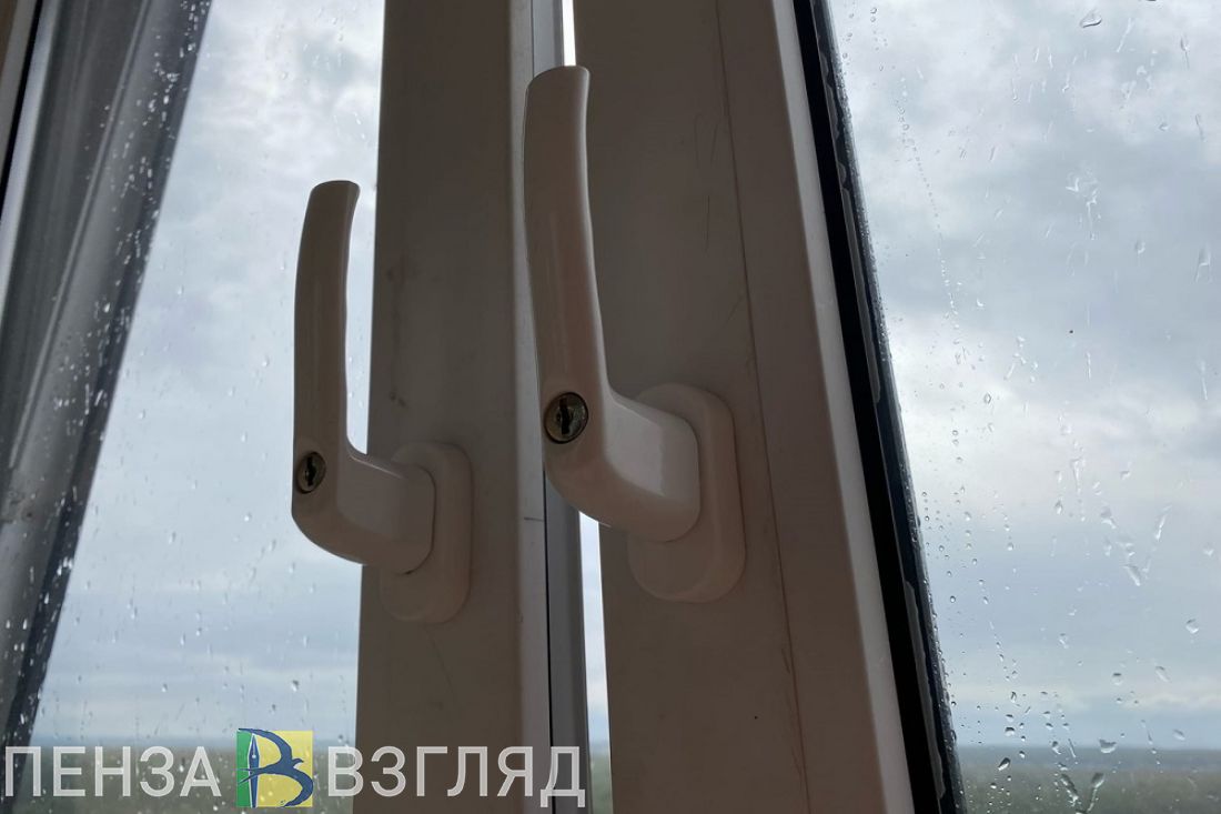 Дождь и +23 градуса спрогнозировали жителям Пензенской области на 1 июня