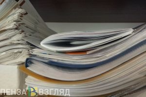 С начала года в Пензе выявили 9 фирм-однодневок