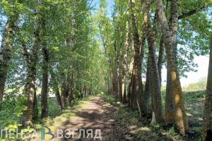 В Пензенской области 3 июня может потеплеть до 28 градусов