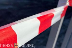 В деревне Земетчинского района вводят 60-дневный карантин из-за бешенства