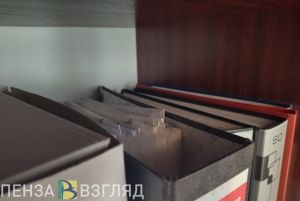 Качан рассказал о реорганизации центров занятости населения в Пензенской области