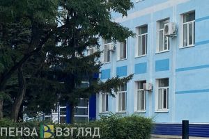 Бастрыкин поручил доложить о результатах проверки по факту хулиганства несовершеннолетнего в Пензенской области