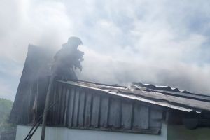 В селе под Пензой пожарные потушили хозяйственную постройку