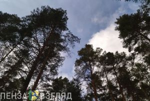 Увидевшим беспилотник пензенцам следует звонить по телефону 02