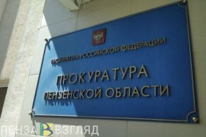 В Пензенской области 38 педагогов 3 года не получали положенные им компенсационные выплаты