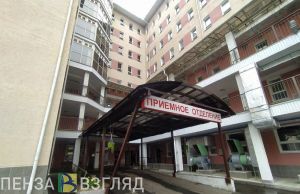 Пензенская область оказалась в числе регионов с высокой заболеваемостью мышиной лихорадкой