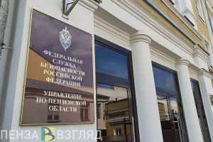 В Пензе пресекли деятельность осужденного, который дискредитировал Вооруженные силы РФ
