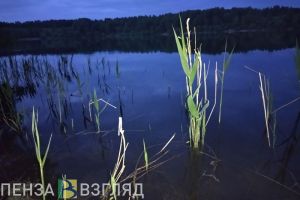 Браконьер из Камешкирского района ловил рыбу в период нереста