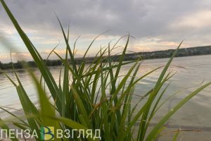 Жителям Пензенской области расскажут о том, на каких водоемах чаще всего гибнут люди