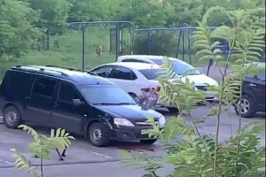 В Пензе стая собак погналась за 11-летней девочкой
