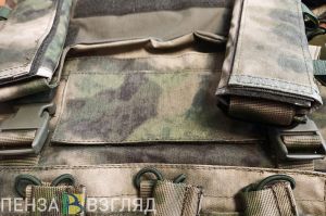 В период мобилизации пензенцам с судимостью предлагается разрешить заключать контракт