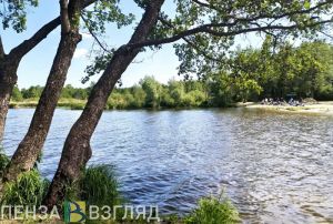 В Пензенской области с начала года на водоемах погибли 10 человек