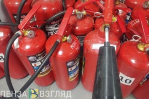 Пензенцам рассказали об опасности возгорания тополиного пуха