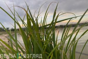 Погибшие на водоемах, ухудшение погодных условий и пожар - новости Пензы и области за 7 июня