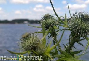 Пензенцам назвали водоем с «дурной славой», где чаще всего тонут люди