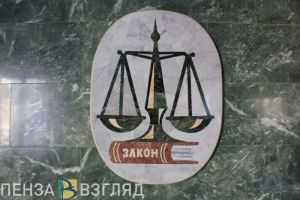 Жительница Пензенской области обвинила неприятельницу в занятии проституцией