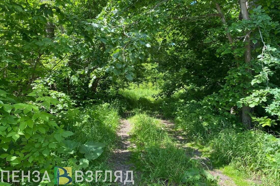 684 человека в Пензенской области пострадали от нападения клещей