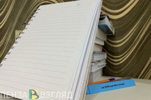 В Пензенской области начнет свою работу Общественный штаб по независимому наблюдению за выборами