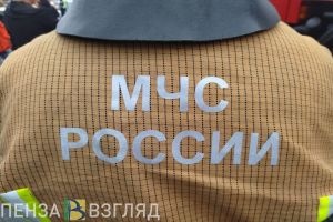 При пожаре в Нижнеломовском районе погиб мужчина