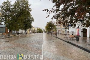 В воскресенье в Пензенской области будет сильный ветер и дождь