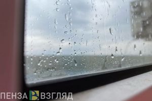 13 июня жителям Пензенской области обещают дождь и +17 градусов