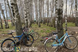 В Пензенской области заблудились трое подростков на велосипедах