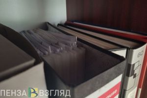 Отдельные категории жителей Пензенской области смогут получить бесплатную юридическую помощь