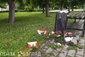 Прокуратура Пензенского района добивается ликвидации пяти несанкционированных свалок