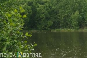 В Кузнецке пляж на реке Труев обустраивать не планируют