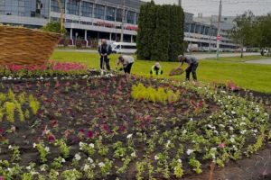 В Пензе более 150 человек приняли участие в благоустройстве территории