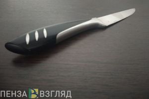 В Пензе будут судить мужчину, который несколько раз ударил ножом товарища