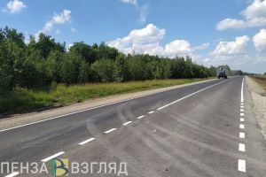 В Пензенском районе мужчина похитил ягненка и увез его на угнанном тракторе в соседнюю область