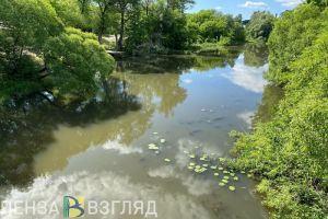Житель Пензенского района незаконно выловил рыбы более чем на 13 тысяч рублей