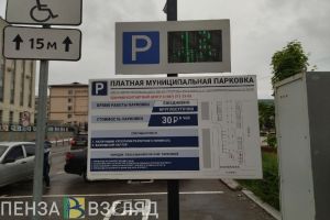 В Пензе на видео попал нарушитель, не оплативший парковку