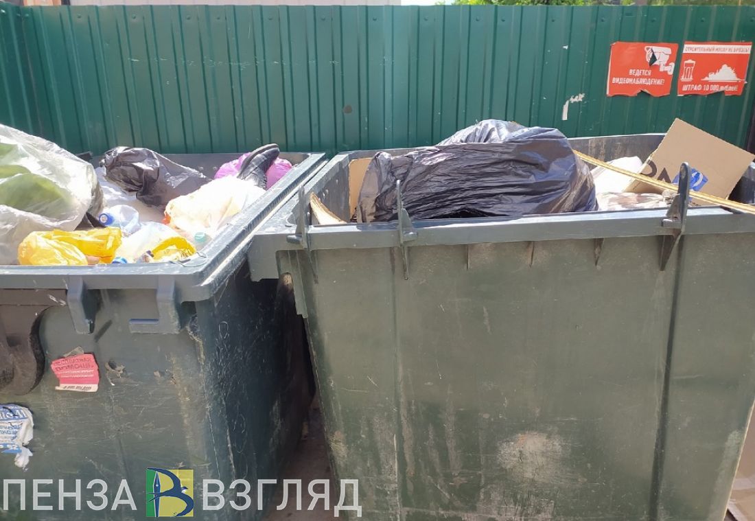 В Пензе предложили использовать только евроконтейнеры для сбора мусора