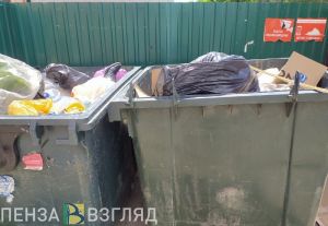 В Пензе предложили использовать только евроконтейнеры для сбора мусора