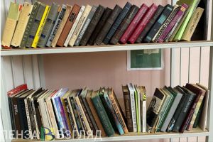 В пензенских колледжах планируют начать готовить учителей 5-9 классов