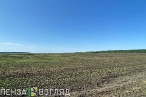 В Пензенской области ввели в оборот 1492 гектара неиспользуемой пашни
